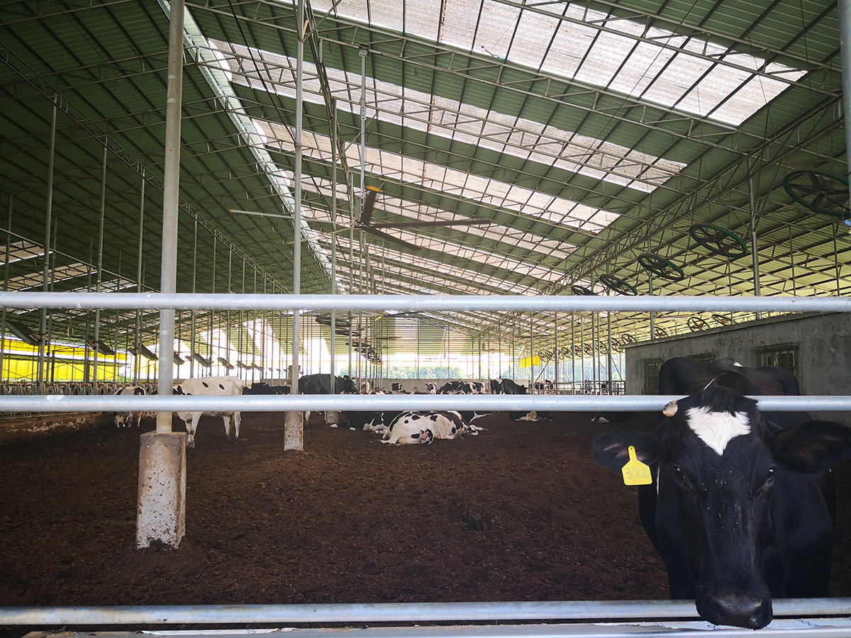 Dairy Farm Application